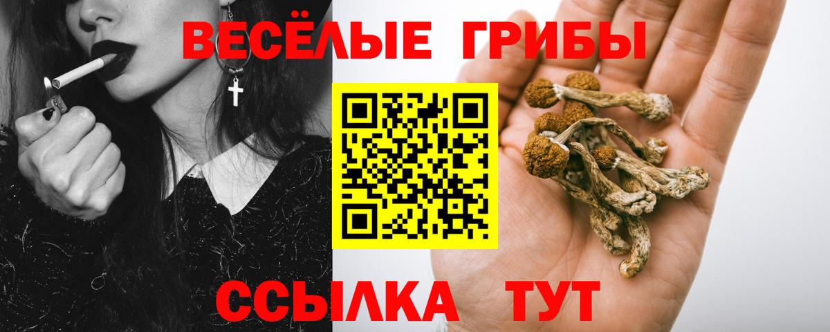 Галлюциногенные грибы мицелий  Вход с VPN  Кондопога 